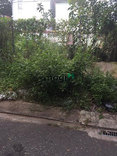 Hình ảnh Bán Đất MT đường Số 6B, Bình Trị Đông B, Bình Tân, 4.5 x 20m, Giá 7 Tỷ