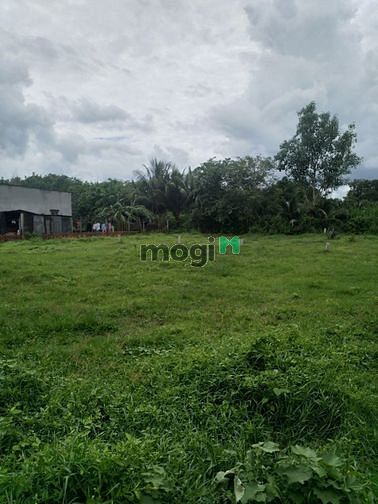 Hình ảnh Cần bán đất thổ cư mặt tiền đường nhựa xã Thái Mỹ - Củ Chi