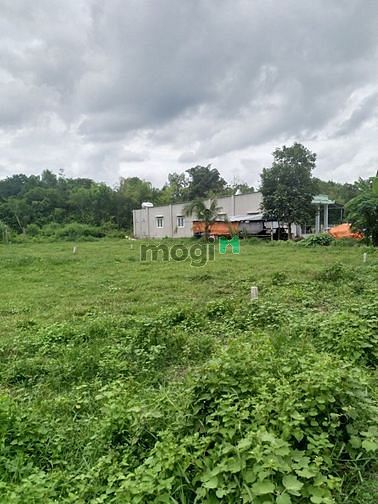 Hình ảnh Cần bán đất thổ cư mặt tiền đường nhựa xã Thái Mỹ - Củ Chi