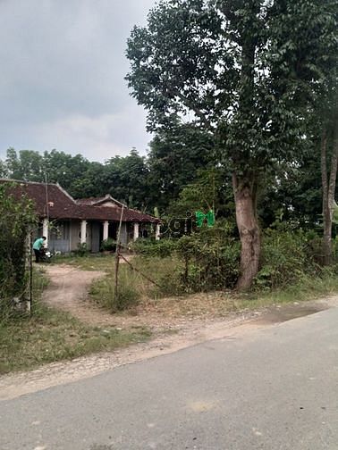 Hình ảnh Cần bán đất mặt tiền Nguyễn Thị Rõ - xã Tân An Hội - Củ Chi