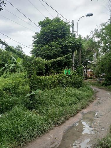 Hình ảnh Cần bán đất 2 mặt tiền - xã Tân An Hội - Củ Chi
