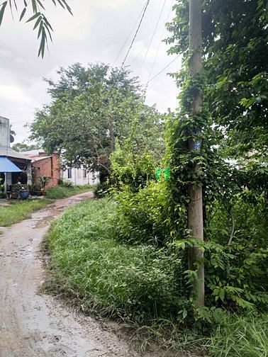 Hình ảnh Cần bán đất 2 mặt tiền - xã Tân An Hội - Củ Chi