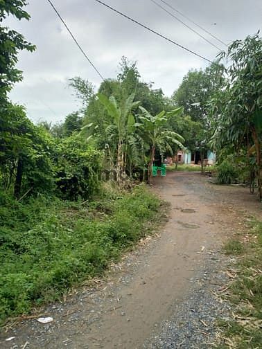 Hình ảnh Cần bán đất 2 mặt tiền - xã Tân An Hội - Củ Chi