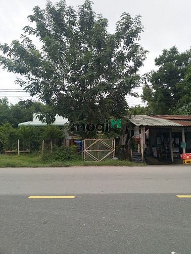 Hình ảnh Cần bán đất mặt tiền tỉnh lộ 8 - xã Tân An Hội - Củ Chi