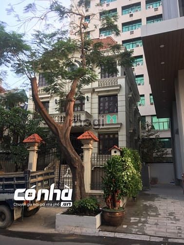 Hình ảnh có nhà - conha, mặt tiền đường Phan Đình Giót quận Tân Bình