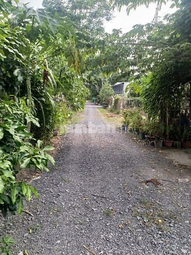 Hình ảnh Cần bán nhà gỗ - xã Trung Lập Hạ - Củ Chi