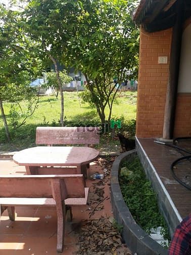 Hình ảnh Cần bán nhà gỗ - xã Trung Lập Hạ - Củ Chi