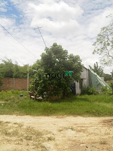 Hình ảnh Cần bán đất 2 mặt tiền - xã Tân An Hội - Củ Chi