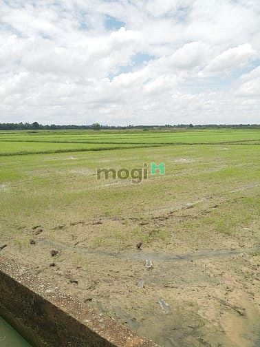Hình ảnh Cần bán đất xã Thái Mỹ - Củ Chi
