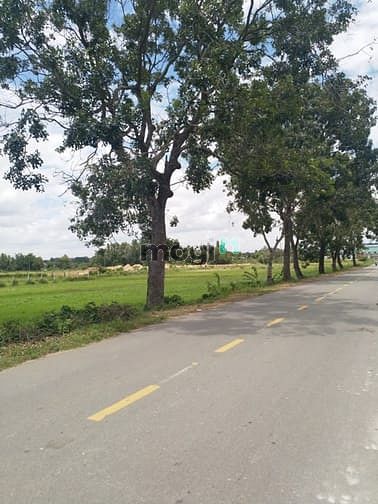Hình ảnh Cần bán đất mặt tiền tỉnh lộ 7 - xã Thái Mỹ - Củ Chi