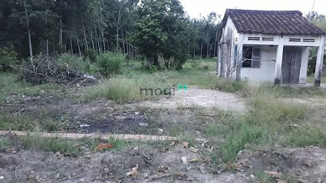 Hình ảnh Cần bán đất mặt tiền đường Bà Thiên - xã Nhuận Đức - Củ Chi