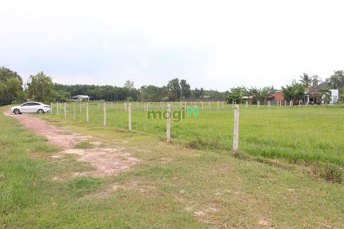 Hình ảnh Cần bán đất 3 mặt tiền xã Trung Lập Thượng - Củ Chi