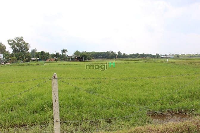 Hình ảnh Cần bán đất 3 mặt tiền xã Trung Lập Thượng - Củ Chi