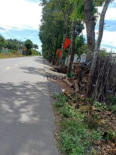 Hình ảnh Cần bán đất mặt tiền đường Bùi Thị Điệt - xã Phạm Văn Cội - Củ Chi