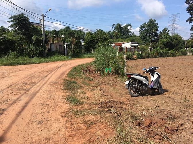 Hình ảnh Cần bán đất 2 mặt tiền xã Phú Hòa Đông - Củ Chi