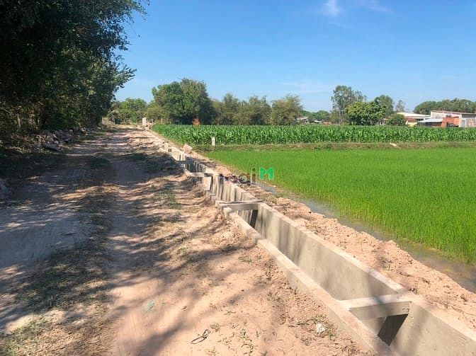Hình ảnh Cần bán đất xã Trung Lập Hạ - Củ Chi