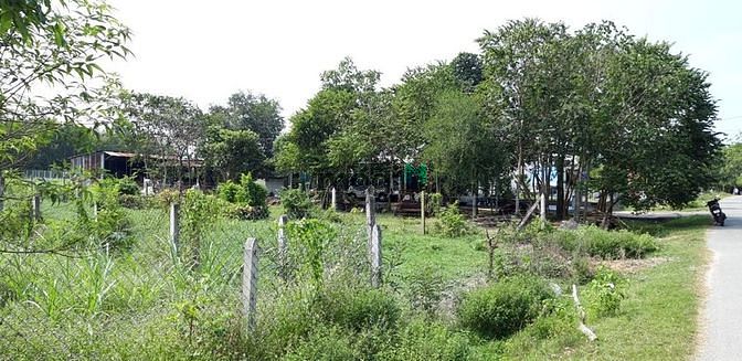 Hình ảnh Cần bán đất mặt tiền đường nhựa - xã Thái Mỹ - Củ Chi