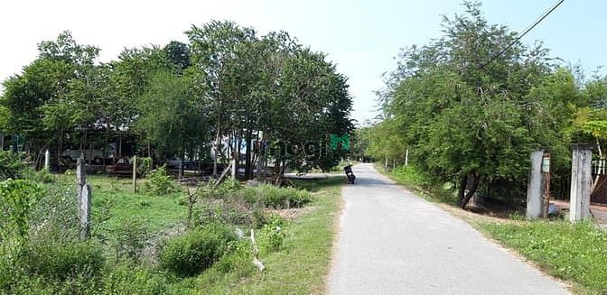 Hình ảnh Cần bán đất mặt tiền đường nhựa - xã Thái Mỹ - Củ Chi