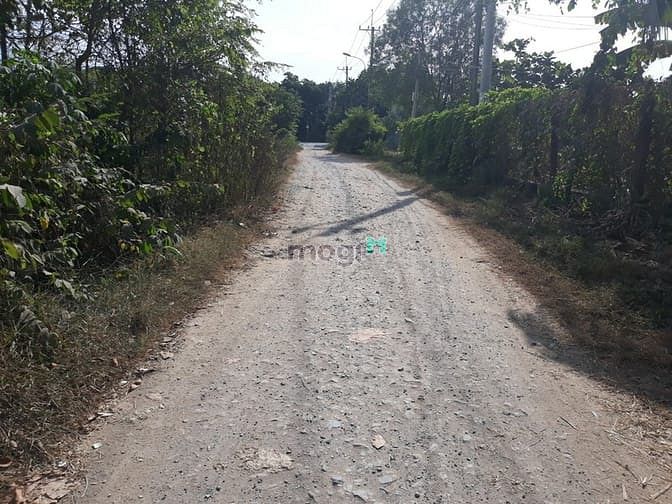 Hình ảnh Cần bán đất xã Tân An Hội - Củ Chi
