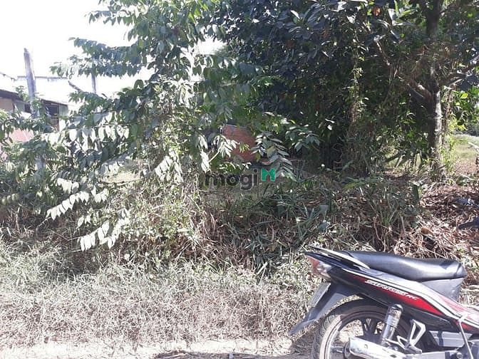 Hình ảnh Cần bán đất xã Tân An Hội - Củ Chi