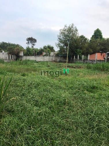Hình ảnh Cần bán đất xã An Nhơn Tây - Củ Chi