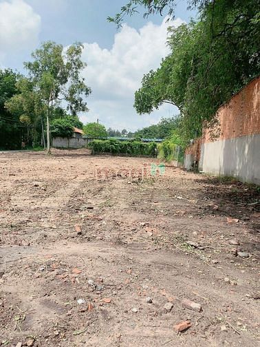 Hình ảnh Cần bán đất mặt tiền đường Cây Gõ - xã An Nhơn Tây - Củ Chi