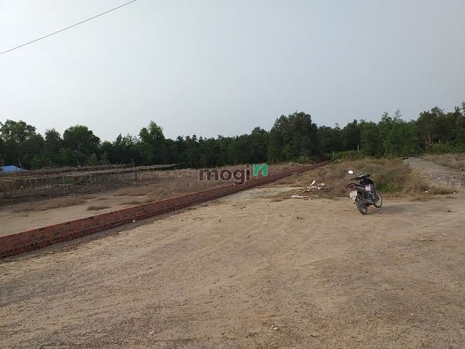 Hình ảnh Cần bán đất mặt tiền đường Tam Tân - xã Tân An Hội - Củ Chi