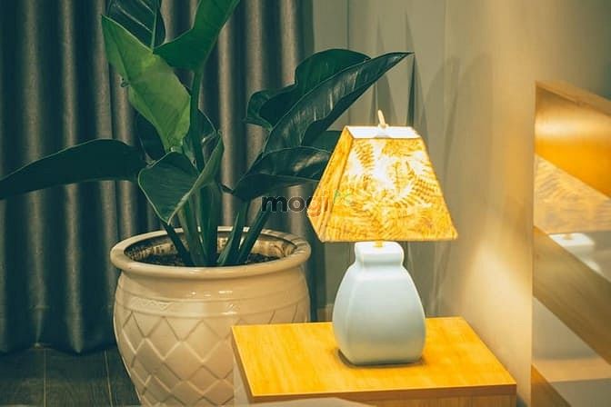 Hình ảnh Căn Hộ Đầy Đủ Đ.Nguyễn Văn Đậu, Quận Bình Thạnh