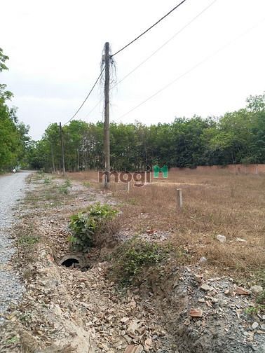 Hình ảnh Cần bán đất xã An Nhơn Tây - Củ Chi