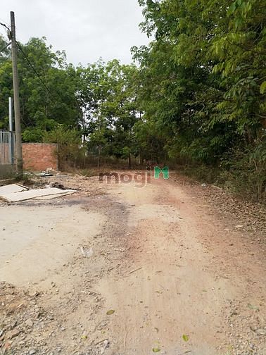 Hình ảnh Cần bán đất xã An Nhơn Tây - Củ Chi