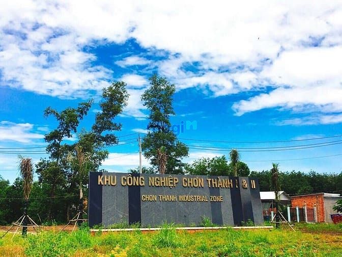 Hình ảnh Đất 1.000m2 Sổ Sẳng Ngay KCN Chơn Thành. Đường 16 mét