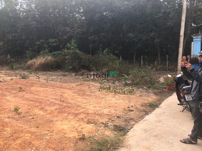 Hình ảnh làm ăn thua lỗ bán gấp lô đất 200m2(10x20) SHR 9 chủ