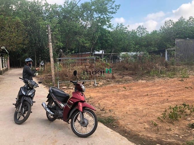Hình ảnh làm ăn thua lỗ bán gấp lô đất 200m2(10x20) SHR 9 chủ