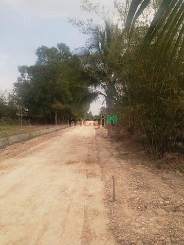 Hình ảnh Cần bán đất xã Trung Lập Hạ - Củ Chi