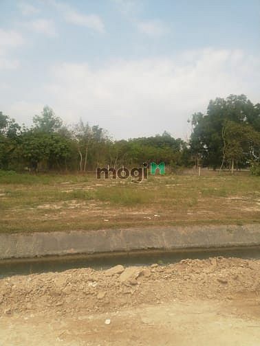 Hình ảnh Cần bán đất xã Trung Lập Hạ - Củ Chi
