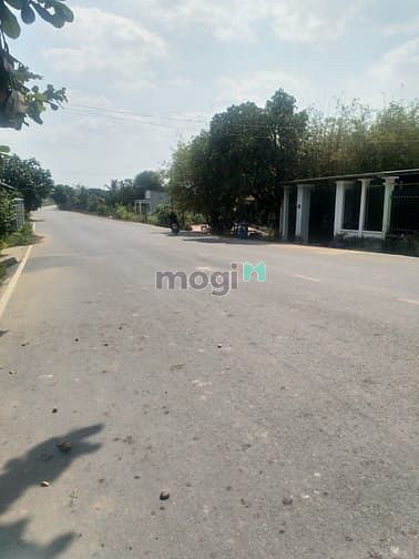 Hình ảnh Cần bán đất mặt tiền đường Ba Sa - xã Trung Lập Hạ - Củ Chi