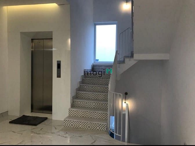 Hình ảnh Biệt thự, Thảo Điền 12m50 x 28m