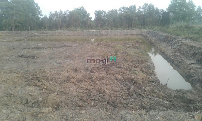 Hình ảnh Đất mặt tiền 818, Cách ngã 5 Bình Thành 300m
