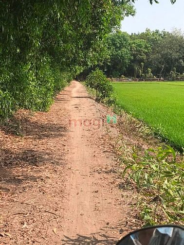 Hình ảnh Cần bán gấp đất thổ vườn Nhơn Trạch, đường ô tô, KDC, Sổ riêng