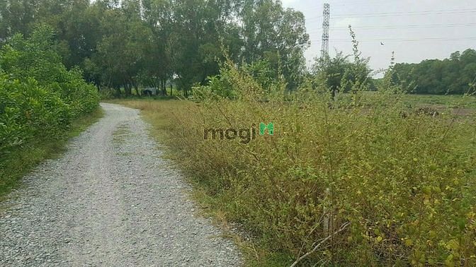 Hình ảnh Cần bán gấp đất thổ vườn Nhơn Trạch, đường ô tô, KDC, Sổ riêng