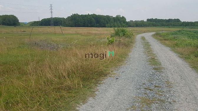 Hình ảnh Hàng ngộp cần ra nhanh lô đất Nhơn Trạch, MT sông, sát phà Cát Lái