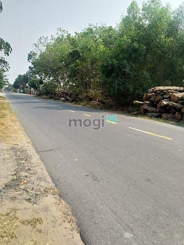 Hình ảnh Cần bán đất mặt tiền đường Tỉnh Lộ 15 - xã An Phú - Củ Chi