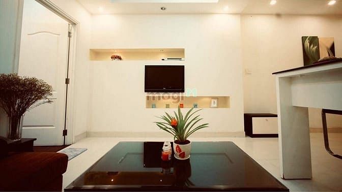 Hình ảnh Căn Hộ VIP 5 sao Full Nội Thất Trần Đình Xu quận 1