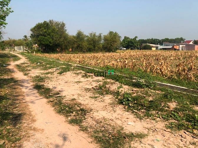 Hình ảnh Cần bán đất xã Trung Lập Hạ - Củ Chi