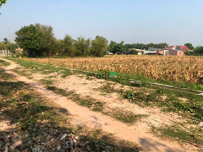 Hình ảnh Cần bán đất xã Trung Lập Hạ - Củ Chi