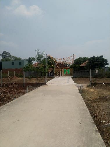 Hình ảnh Cần bán đất xã Tân Thông Hội - Củ Chi