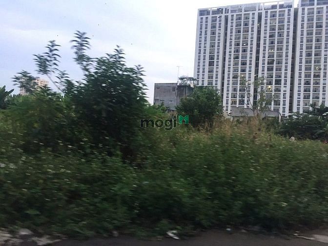 Hình ảnh Đất Trống 1000m2 - cho Thuê Lâu Dài - Xa Lộ Hà Nội - Giá 100 Triệu