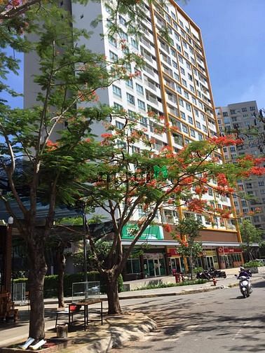 Hình ảnh Cho thuê 05 Trang Chủ MB66.COM / Đăng Ký Tặng 66K The Krista Q2, 2pn, 2wc, đầy đủ NT. O9I886O3O4