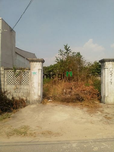 Hình ảnh Cần bán đất mặt tiền đường số 41 - xã Tân Thông Hội - Củ Chi