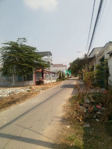 Hình ảnh Cần bán đất mặt tiền đường số 41 - xã Tân Thông Hội - Củ Chi